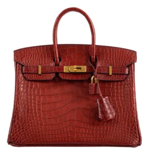 Hermes-Birkin-25-Rouge-H-Verso-Orange-Alligator-Gold-Hardware