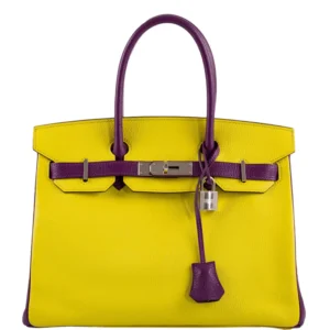 Hermes-HSS-Birkin-30-Lime-and-Anemone-Chevre-Palladium-Hardware