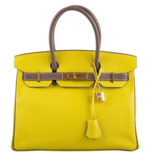 Hermes-HSS-Birkin-30-Lime-and-Etoupe-Chevre-Gold-Hardware-2013