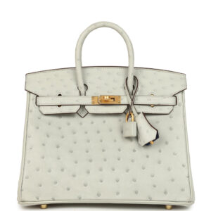 Hermès Special Order (HSS) Birkin 25 Gris Perle Verso Ostrich Brushed Gold Hardware