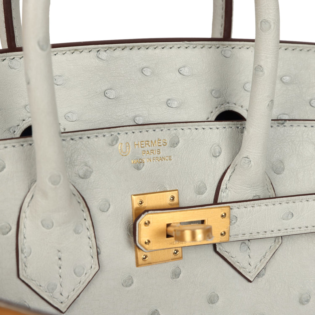 Hermès Special Order Birkin 25 Gris Perle Ostrich Bag - Brushed Gold Hardware 7 Hermès Special Order Birkin 25 Gris Perle Ostrich Bag - Brushed Gold Hardware - Image 7